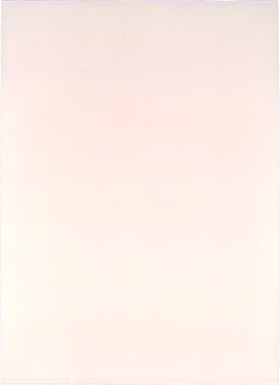 Susanne Lyner, 2012, Farbtafel, 76 x 56 cm, pigmentierte Tusche auf Bütten