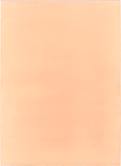 Susanne Lyner, 2012, Farbtafel, 76 x 56 cm, pigmentierte Tusche auf Bütten