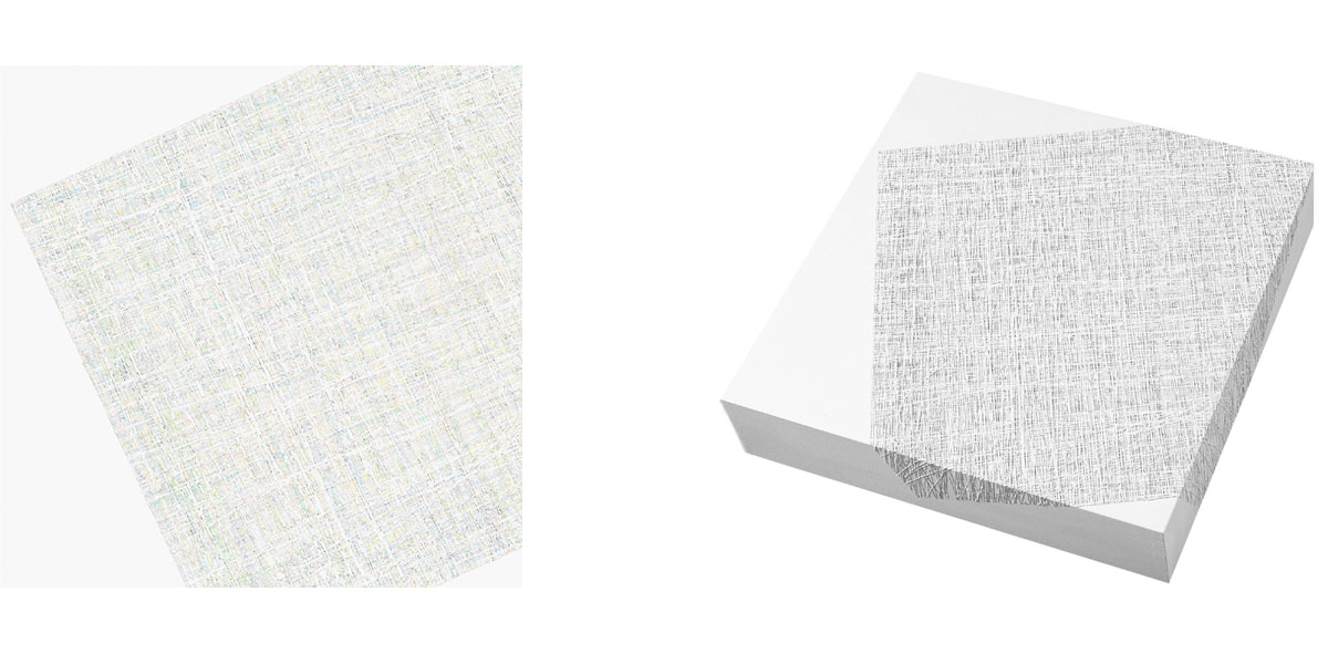 Susanne Lyner, 2015_27_Serie_Lagopus, 40 x 40 x 9 cm, Acryl auf Holz Susanne Lyner, 2015_27_Serie_Lagopus, 40 x 40 x 9 cm, Acryl auf Holz