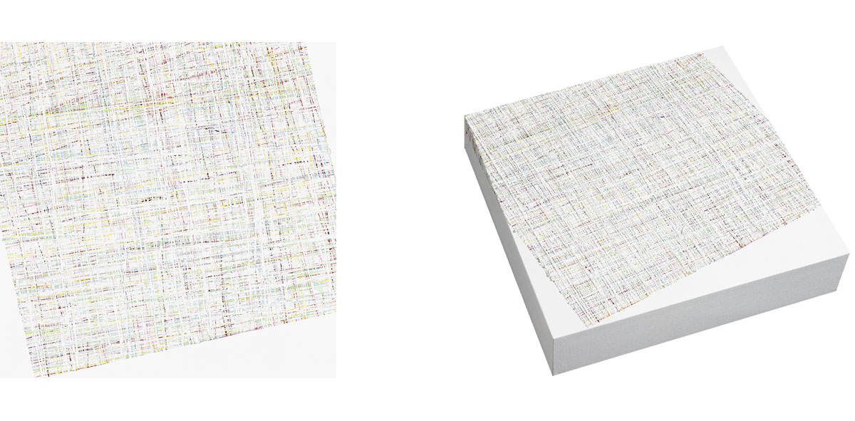 Susanne Lyner, 2015_36_Serie_Lagopus, 40 x 40 x 9 cm, Acryl auf Holz Susanne Lyner, 2015_36_Serie_Lagopus, 40 x 40 x 9 cm, Acryl auf Holz