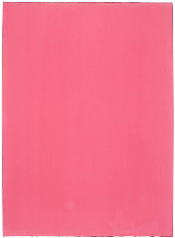 Susanne Lyner - Farbtafeln HamburgRot