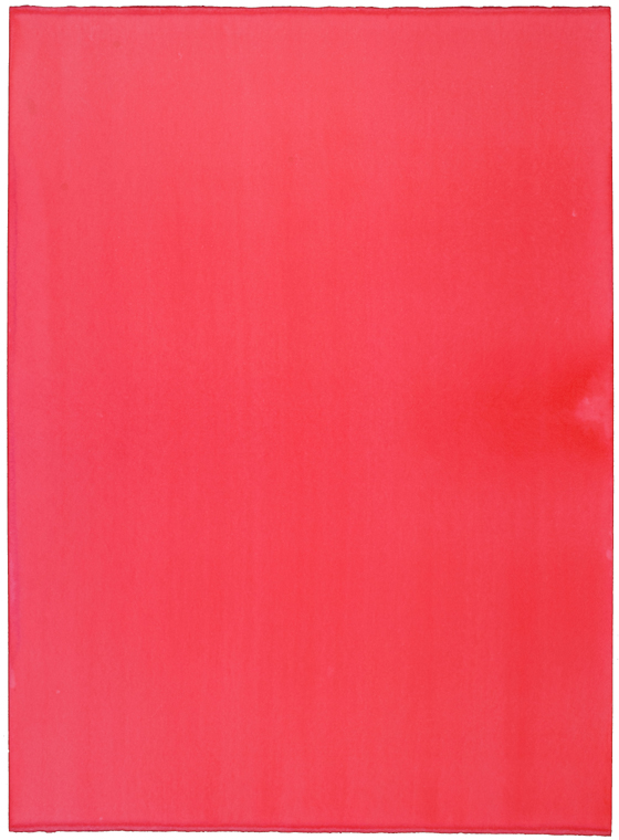 Susanne Lyner - Farbtafeln HamburgRot