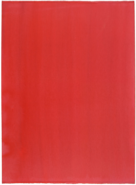 Susanne Lyner - Farbtafeln HamburgRot