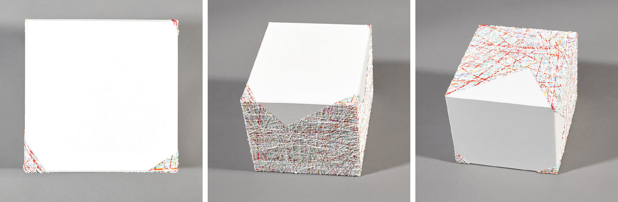 Susanne Lyner, Serie Inundauswendig Susanne Lyner, Serie Inundauswendig