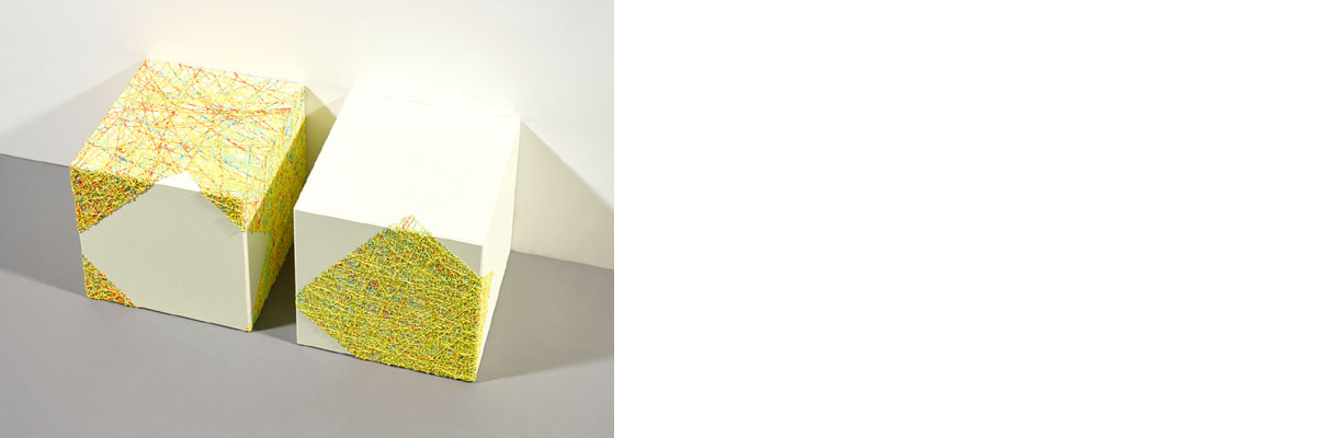 Susanne Lyner, Serie Inundauswendig Susanne Lyner, Serie Inundauswendig