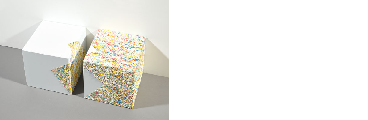 Susanne Lyner, Serie Inundauswendig Susanne Lyner, Serie Inundauswendig