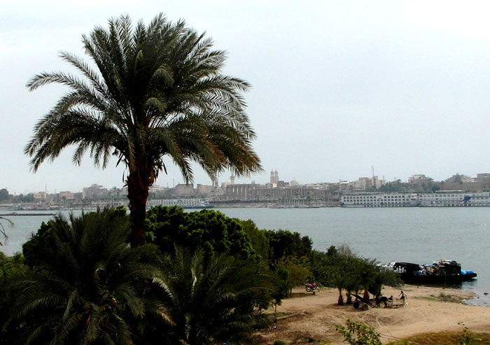 Susanne Lyner, 2016, Studienreise nach Ägypten Susanne Lyner, 2016, Studienreise nach Ägypten