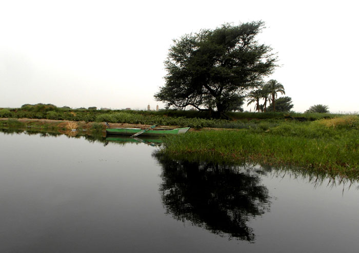 Susanne Lyner, 2016, Studienreise nach Ägypten Susanne Lyner, 2016, Studienreise nach Ägypten